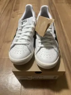 未使用新品【asics】GEL-PTG 27.5cm