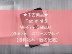 【中古美品】iPad mini 5 Wi-Fi + Cellular 256GB