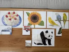 知育玩具◆絵合わせカード パズル 4～12ピース 4種8点セット/乗り物、生き物