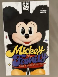 ミッキーファミリー 未開封 新品2箱セット ミッキーファミリー ミキファミ popmart 未開封 - メルカリ
