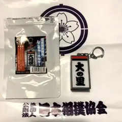 電光掲示板風しこ名キーホルダー　大の里