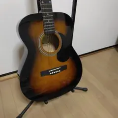 最終値引き❗️ Lumber LFG10TS 小ぶり 新品弦 メンテナンス済 - メルカリ