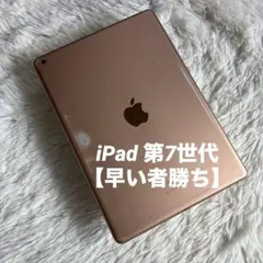 即購入OK】iPad 第8世代 セルラーモデル【極美品】 #121 【付属品 