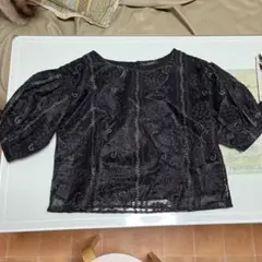 オーガンジー　刺繍ブラウス　アリシアページボーイ