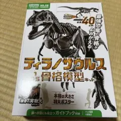 Item thumbnail for item b87fb581-9ed2-4612-a6b1-f589580f3621