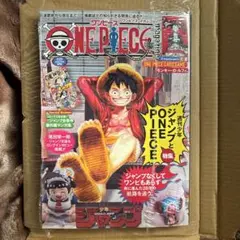 新品未開封 ワンピースマガジン第20号 ルフィプロモ付 1冊