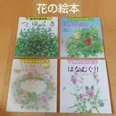 たんぽぽクレーター 全2巻セット 筒井百々子 初版 - メルカリ