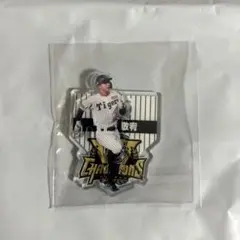 阪神タイガース セ・リーグ優勝記念くじ 熊谷敬宥【新品、未使用】