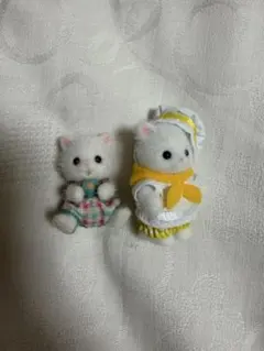 ペルシャネコの赤ちゃん セット