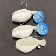 魚型ぬいぐるみ 3個セット タグ付き