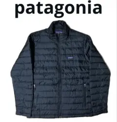 2025年最新】パタゴニア ダウンベストの人気アイテム - メルカリ