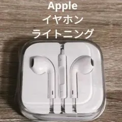 Apple iPhone 純正 イヤホン ライトニング Lightning