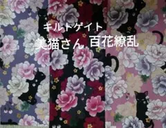百花繚乱美猫さん3種/キルトゲイト/ハギレ/825