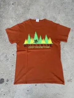 【ギルダン】GILDAN 古着used tシャツold vintage プリント