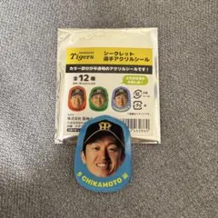 阪神タイガース 近本光司 選手アクリルシール