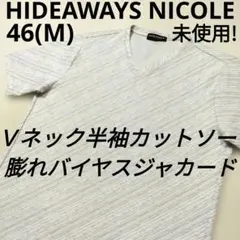 ハイダウェイニコル　バイヤスジャカードＶネック半袖カットソー　白×グレー　46