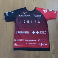コンサドーレ札幌Ｔシャツ　2025年　２枚セット