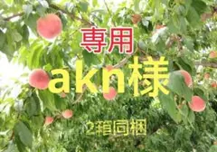 4♢専用 aknさま【ミニ桃！】 桃　あかつき(訳あり)