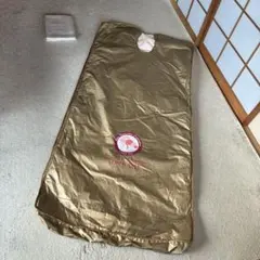 Item thumbnail for item 4c174b42-574e-421b-8fa1-56227bce3736