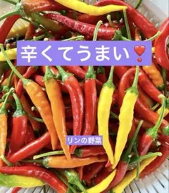 辛くてうまい！激辛！赤+オレンジ+黄　 三色唐辛子 ミックス　約350gのサムネイル