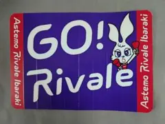 Item thumbnail for item 515b2a11-8a8d-407b-a44a-e995326d0484