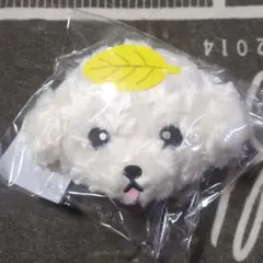 2025年最新】チャンミン ぬいぐるみの人気アイテム - メルカリ