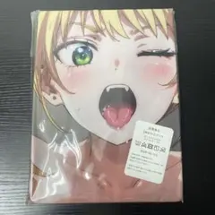 2way抱き枕カバー 90x45cm 両面 【管65】