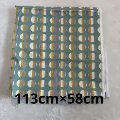 グリーン 多色 円形模様の綿生地 113cm×58cm