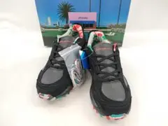 【新品・未使用】MIZUNO ミズノ ウェーブ ムジン　TL 永井博 26cm