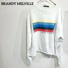 BRANDY MELVILLE ストライプ長袖Tシャツ 袖ロゴTシャツ 長袖
