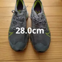 【ジャンク品】ナイキ エア ズーム テンポ ネクスト％ 28.0cm