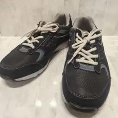 Item thumbnail for item 725e3648-2767-4072-9080-96e96798a287