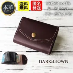 No.282 財布 小銭入れ カード 本革 レザー ウォレットコンパクト 蛇腹