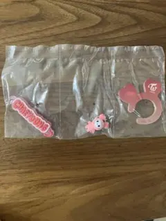 TWICE LOVELYSアクリルカラビナフロッキーマスコット　チェヨン　ガチャ