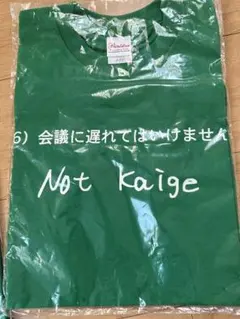 ナインティナイン めちゃイケ 名言 緑色 Tシャツ レディース 남성