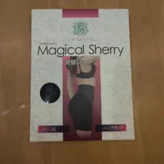 Magical Sherry 骨盤ショーツ XL ブラック マジカルシェリー - メルカリ