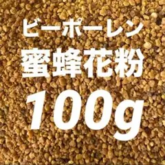 Item thumbnail for item 6ceeb5e4-e1a9-4bd1-a7c1-da72575054d1