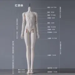 Item thumbnail for item 360a93e8-2eca-4e40-9d7e-92955c4046d5