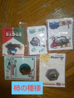 柿の種様 登山記念バッジ5個セット
