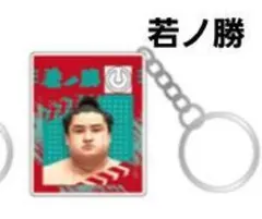 Item thumbnail for item 6ef96141-2ba0-4465-a21f-330d0bee9e2e