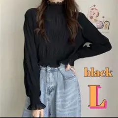 シフォンブラウス シースルー シアートップス フリル 黒 ブラック 長袖 韓国