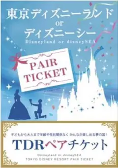東京ディズニーリゾート ペアチケット 目録 A3パネル付 - メルカリ