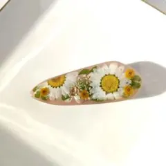 Item thumbnail for item 36a2d252-b365-4586-b143-d9f2e3fbe70d