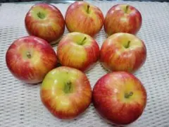 信州産リンゴ　シナノレッド　１，６ｋｇ　ご家庭用のサムネイル