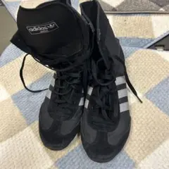 Item thumbnail for item a3a9a316-80c2-4048-8213-356bdfc86dc9