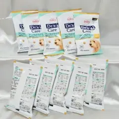 ドクターズケア アミノプロテクトケア(ポテト) 40g×10袋 - メルカリ