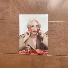 2026年最新】seventeen ode to you トレカの人気アイテム - メルカリ