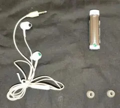 Item thumbnail for item 0e41cb7b-58f5-45be-a9e7-2472a99eaa66