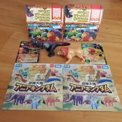 アニアキングダム ダークフレイム