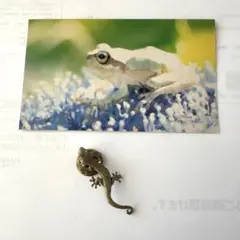 ハロ様 リクエスト 9点 まとめ商品